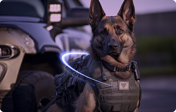 k9 multiproposito